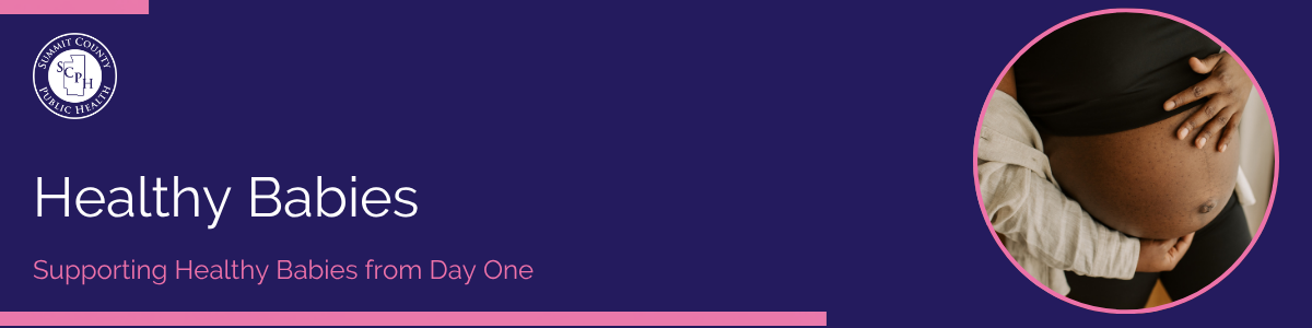 Banner with a dark purple background featuring the title 'Healthy Babies' in white and the subtitle 'Supporting Healthy Babies from Day One' in pink. A circular photo shows a pregnant woman holding her baby bump. The Summit County Public Health logo appears in the top left with pink accent borders