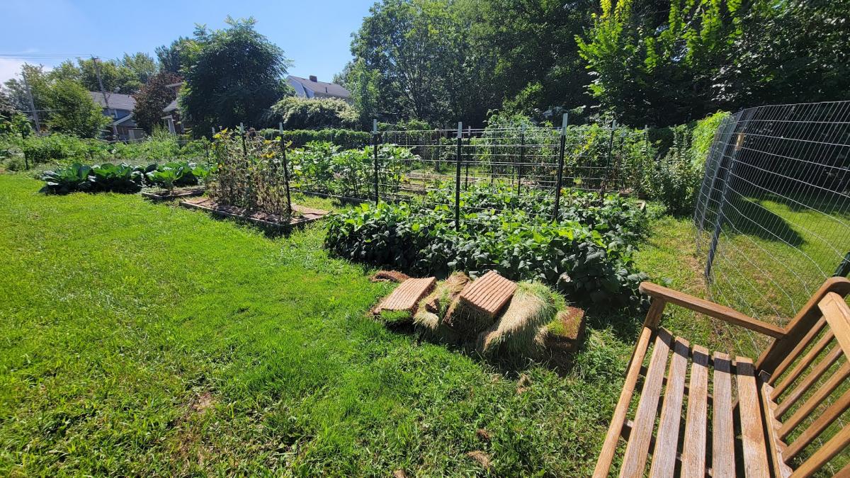 Image of Lovers Lane Community Garden 