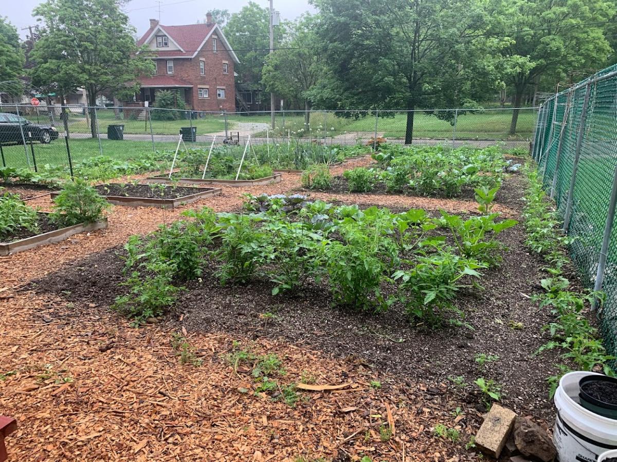 Image of Stadelman Community Garden 