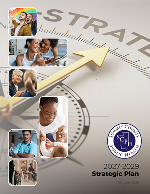 2027-2029 Strategic Plan report cover with SCPH Logo.