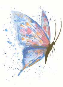 Watercolor butterfly image