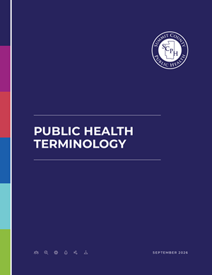 Image of the report cover. Reads "Public Health Terminology."
