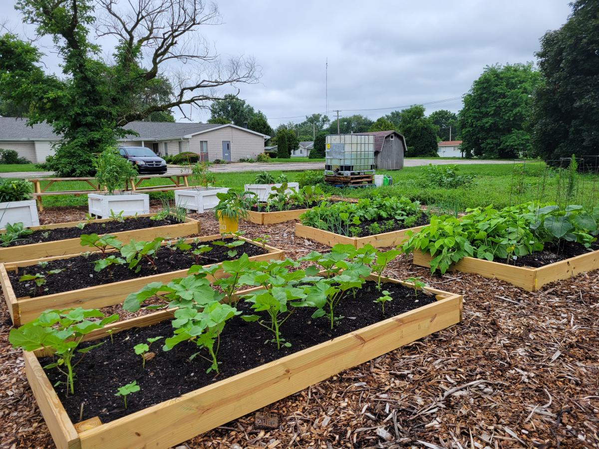 Image of ground level garden frames with robust garden growth.